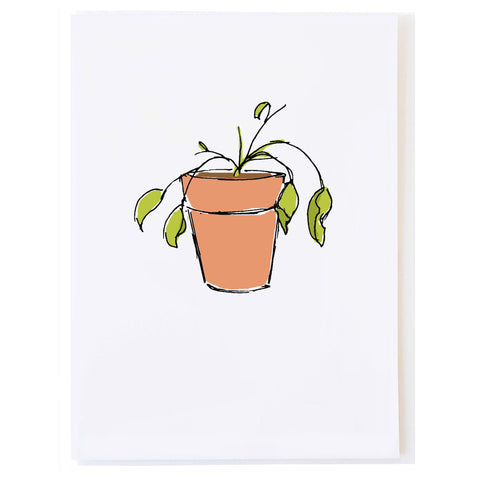 Droopy Plant