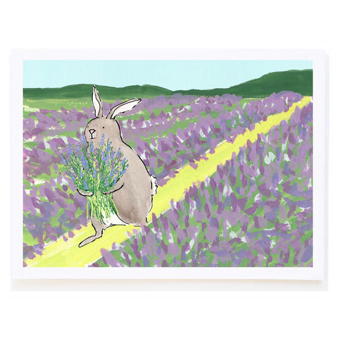 Lavender Field