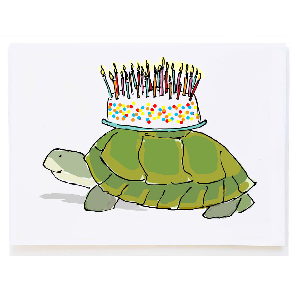 Turtle with Cake