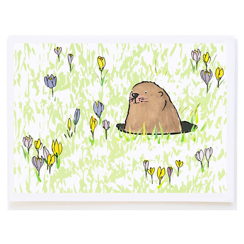 Gopher and Crocuses