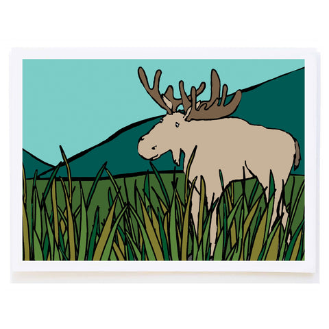 Moose in Grass