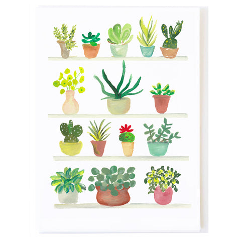 Plants on Shelf