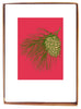 Red Pine (small card)