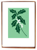 White Holly (small card)